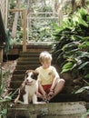 Boy on stairs with cute border collie puppy Royalty Free Stock Photo