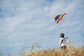 Boy standing in the field holds a flying kite flying in the air against the beautiful sky Royalty Free Stock Photo