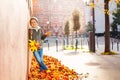 Boy standing in leaf pile, holding autumnal bunch