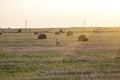 boy stands at haystack and girl runs away from him on field flooded with rays of sun at sunset Royalty Free Stock Photo