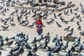 The boy stands in the square among a large flock of pigeons on 1