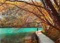 Boy stay on wooden bridge over the mountain lake, golden autumn