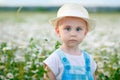 A boy in a straw hat stands in a meadow with wild daisy flowers. An attentive child in a chamomile field at sunset in the soft Royalty Free Stock Photo