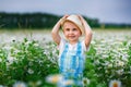 A boy in a straw hat stands in a meadow with wild daisy flowers. A smiling child in a chamomile field at sunset in the soft Royalty Free Stock Photo