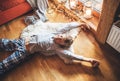 Boy stretching himself lying on floor on sheepskin and looking in window in cozy home atmosphere. Peaceful Lazy moments in cozy