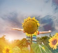 Boy spreading hands behind sunflower Royalty Free Stock Photo