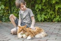 The boy stroking his pet - red cat. Royalty Free Stock Photo