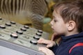 Boy studying birdsong