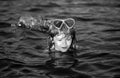 Boy swim on the beach on summer holidays. Happy kids swimming in the water. Little boy swimming in ocean or sea. Royalty Free Stock Photo