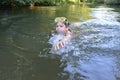 Boy teenager swims in river in summer Royalty Free Stock Photo