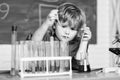 Boy test tubes colorful liquids chemistry school classroom. Kid study chemistry. Biotechnology and pharmacy. Genius Royalty Free Stock Photo