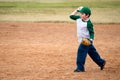 Boy throws baseball Royalty Free Stock Photo