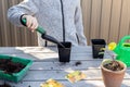 Boy throws soil seedlings pots for planting seeds. little gardener.