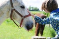 The boy touched the horse`s head