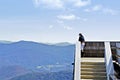 Boy on Tower in Mountains Royalty Free Stock Photo