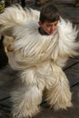 Boy in traditional bulgarian Kukeri costume