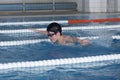 The boy trains in swimming pool, before the compet Royalty Free Stock Photo