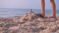 A boy tramples a sand castle on the seashore with his feet