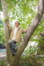 Boy in a tree Royalty Free Stock Photo