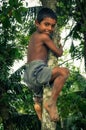 Boy on tree in Bangladesh Royalty Free Stock Photo