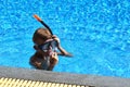 Baby boy in the water mask in the pool. Child swimmer in the water autdoor. Royalty Free Stock Photo