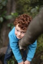 Boy up a tree in his happy place. Royalty Free Stock Photo