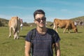 Boy on vacation in Covadonga, loose cattle Royalty Free Stock Photo