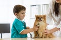 Boy at the veterinary doctor with his dog Royalty Free Stock Photo