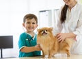 Boy at the veterinary doctor with his dog Royalty Free Stock Photo