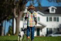 Boy walk with puppy. Funny child playing with her dog in the park.