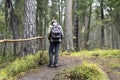 Boy walking alone in green forest Royalty Free Stock Photo