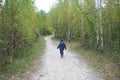 Boy walking along the road in the birch forest Royalty Free Stock Photo