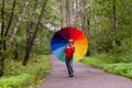 Boy walking in a beautiful forest under a colorful umbrel