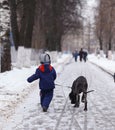 Boy walking with a big dog in winter park Royalty Free Stock Photo