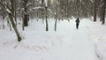 Boy walking on a forest path in winter with a dog