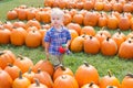 Boy Walking Between Rows of Large Pumpkins