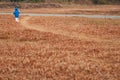 Boy walking rural footpath