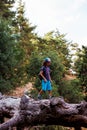 boy walks on top of a fallen tree in the forest. Children's leisure, a happy child climbs a tree and has fun