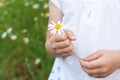 Boy in warm clothing holding pink and white flowers. Royalty Free Stock Photo