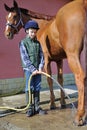 Boy wash his horse Royalty Free Stock Photo