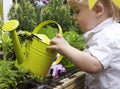 Boy and watering can Royalty Free Stock Photo