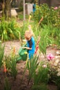 A boy watering flowers and a vegetable garden with a watering can. The boy helps with the summer garden. Children`s games with wat Royalty Free Stock Photo