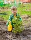 Boy watering the planted tree