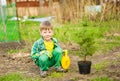 Boy watering the planted tree