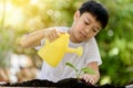 Boy watering on young seedling Royalty Free Stock Photo