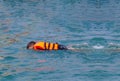 A boy wearing life jacket and floating on blue sea water. Royalty Free Stock Photo