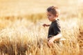 Boy in wheat field Royalty Free Stock Photo