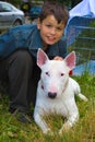 Boy and white Bull Terrier Dog breed Royalty Free Stock Photo