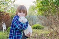 Boy with white bunny in his hands, child with decorative rabbit Royalty Free Stock Photo