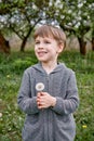 A boy with a white dandelion. Against the background of a blooming garden and green grass Royalty Free Stock Photo